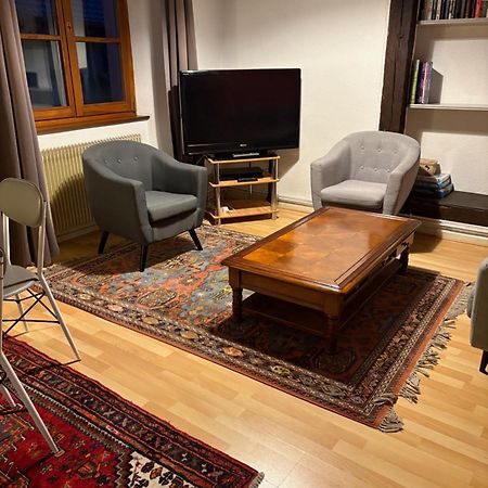 Appartement Authentique Centre Historique Colmar Bagian luar foto